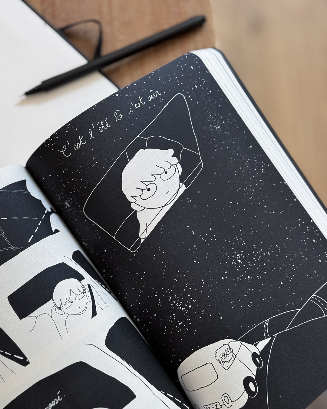 Le journal de Samuel - Casterman et ARTE Editions