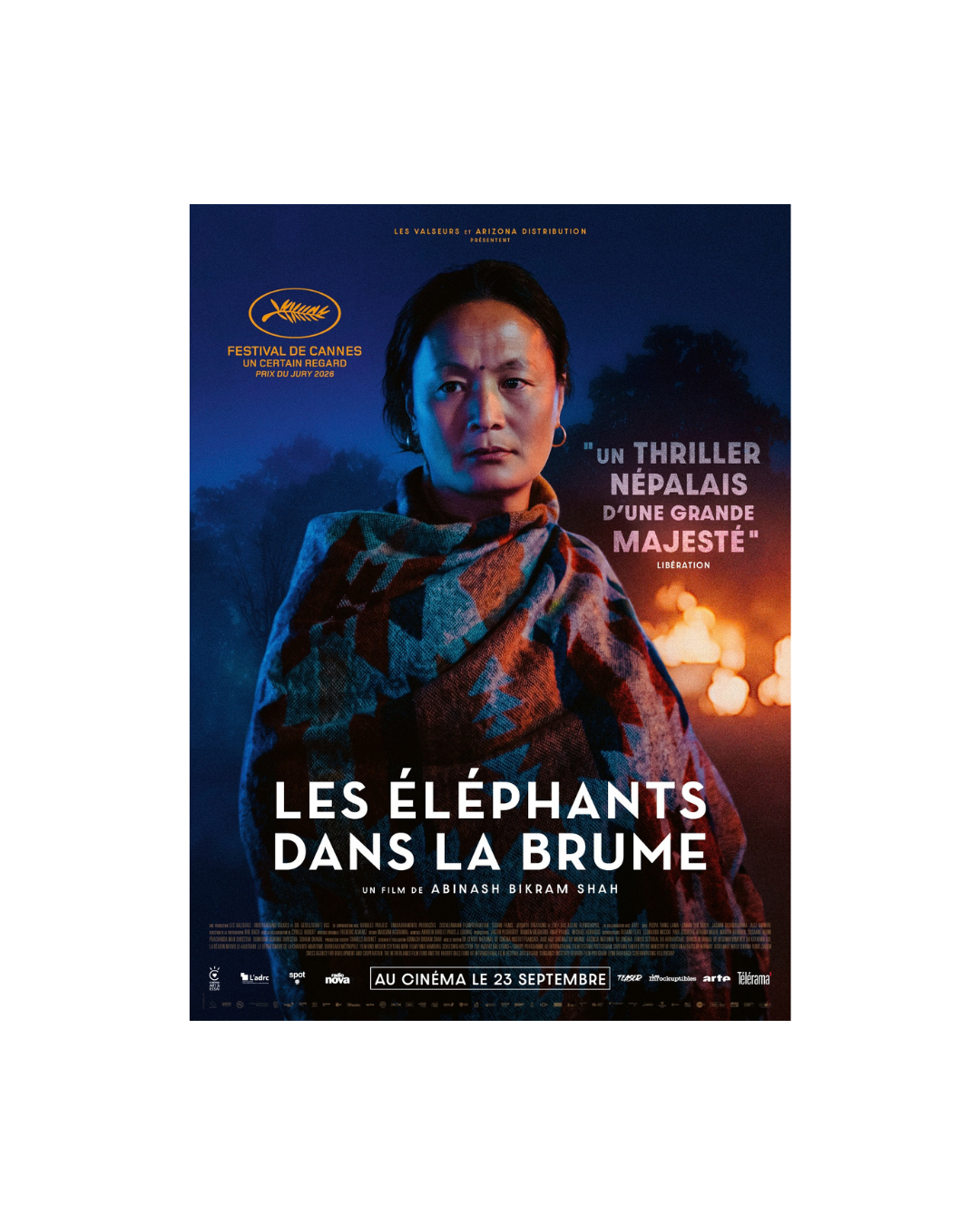 AFFICHE LES ÉLÉPHANTS DANS LA BRUME
